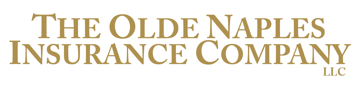 https://webforms.quoterush.com/Admin/assets/agency_logos/b2de3dd9-de17-11ed-bc55-6045bd7d2a4f/ONIC Logo (5).png